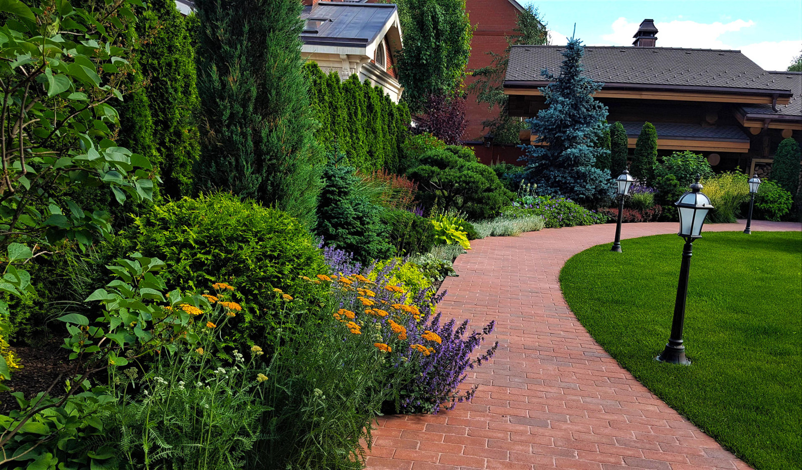 Сад с аурой