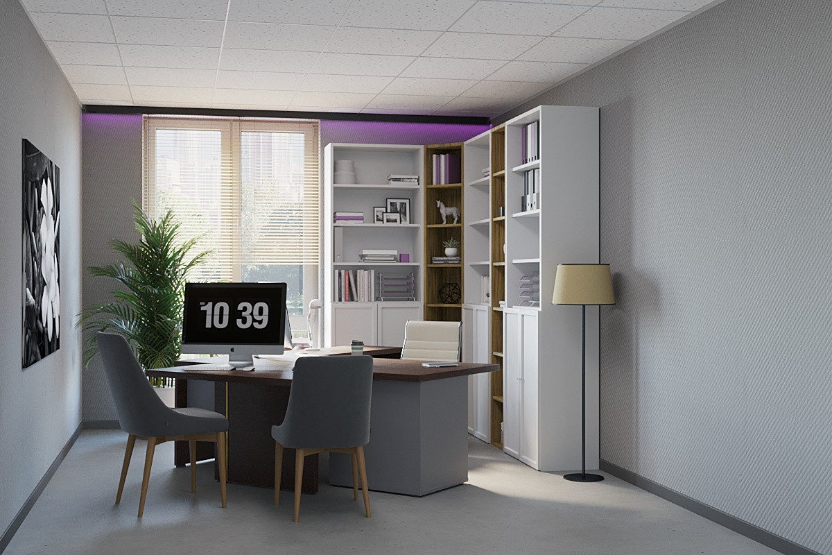 Офич компании Topline