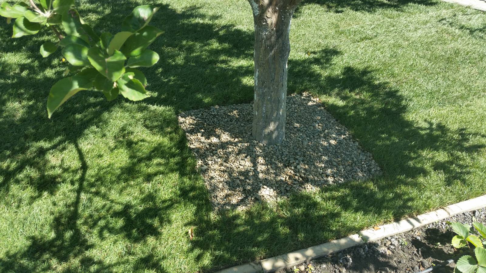 Фоновое изображение профиля Роман Романов