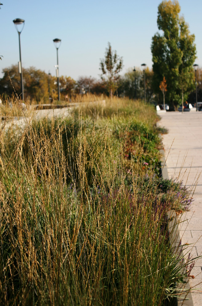 Цветники Советской площади