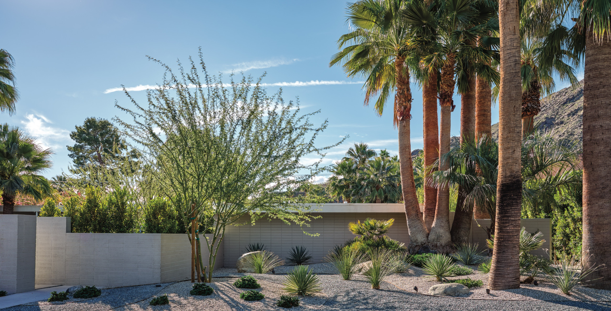 6 великолепных садов фестиваля Palm Springs Modernism Week 2022