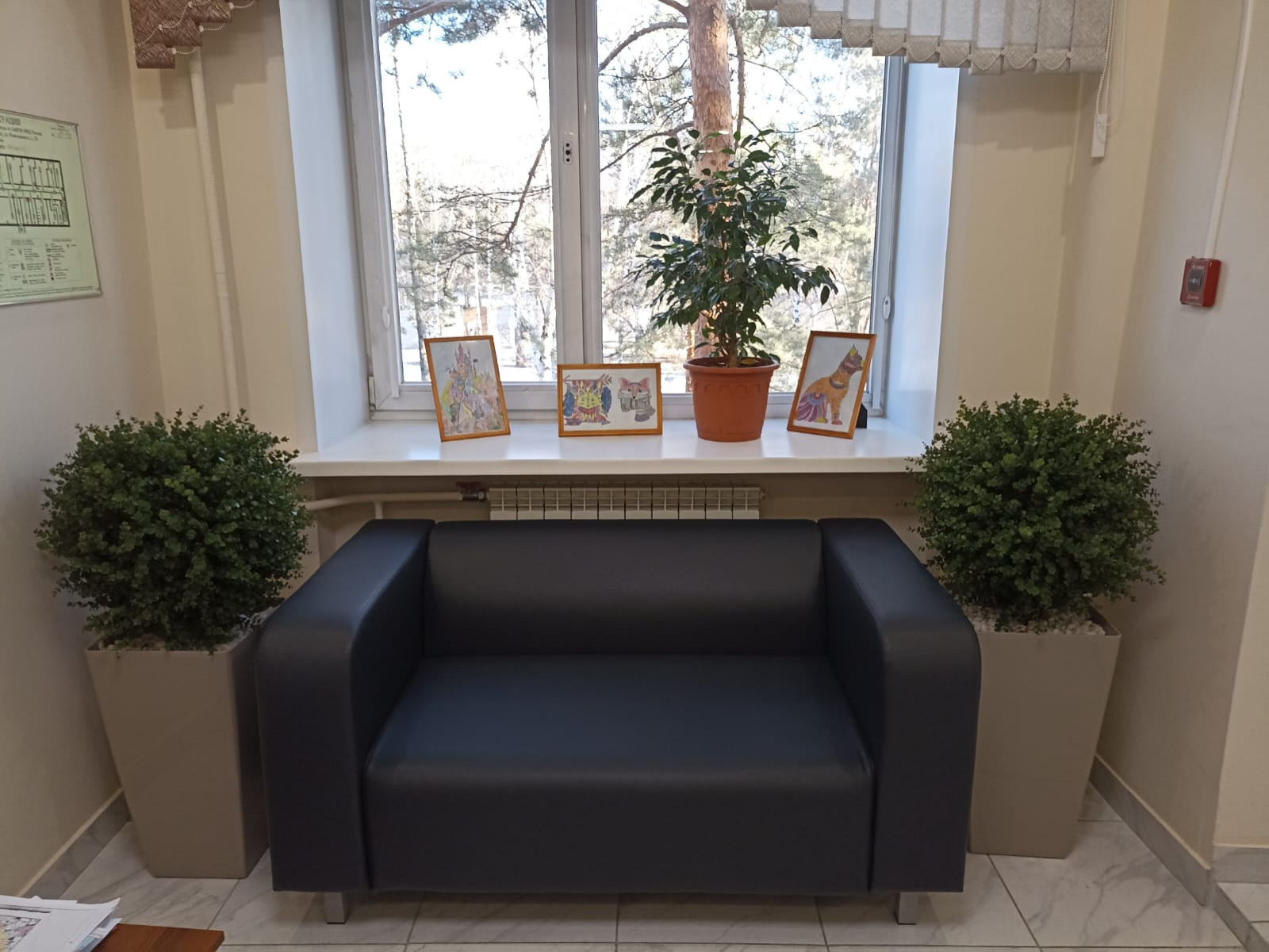 Обложка проекта: Растения для офисного пространства