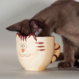 Наталия Матвиец