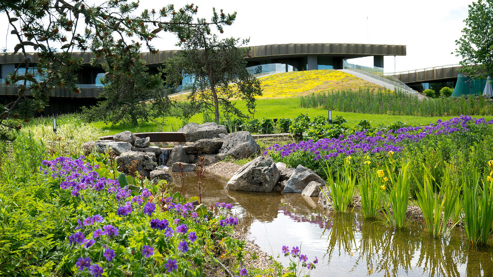 Обложка альбома: Альбом идей