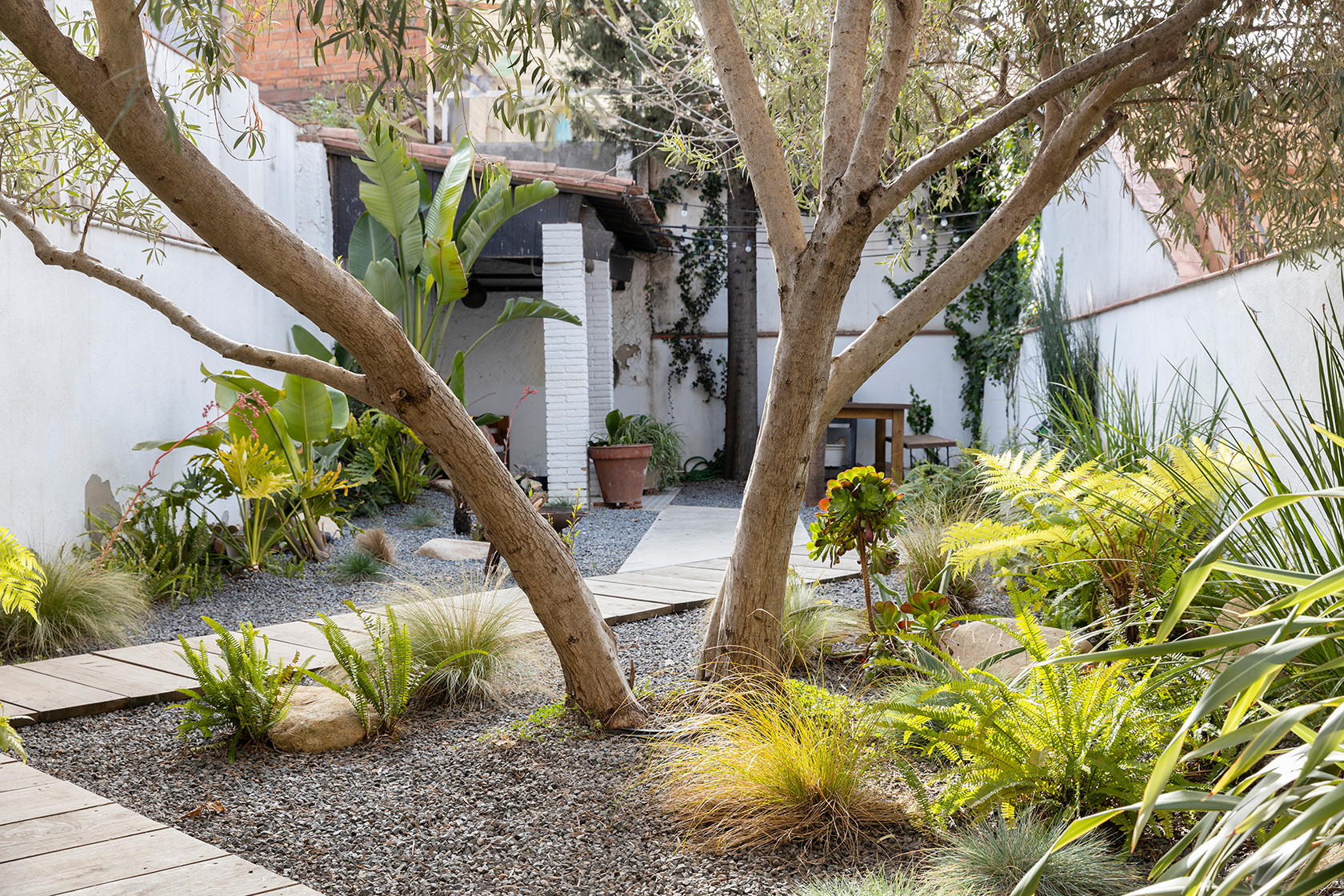 Houzz в саду: Тотальная реконструкция узкого сада