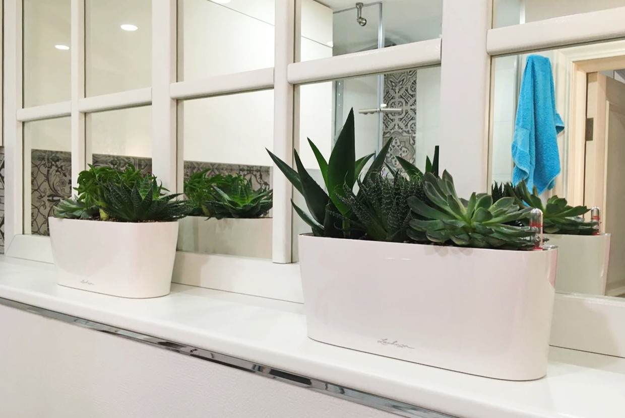 Озеленение частных квартир