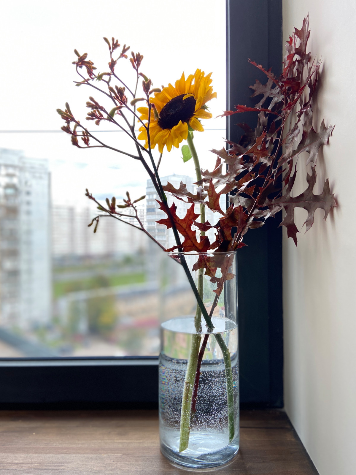 Обложка проекта: ЯРКАЯ КВАРТИРА ДЛЯ СЕМЬИ ИЗ 4-Х ЧЕЛОВЕК