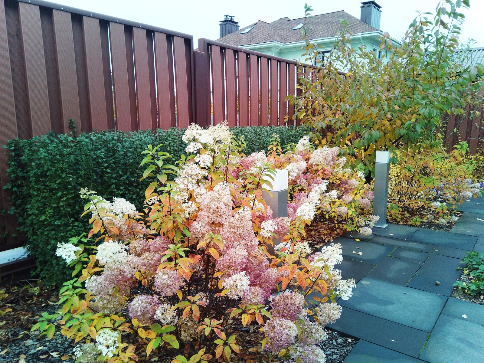 кп "Мартемьяново" - Профессиональный уход за садом - 100% качество!