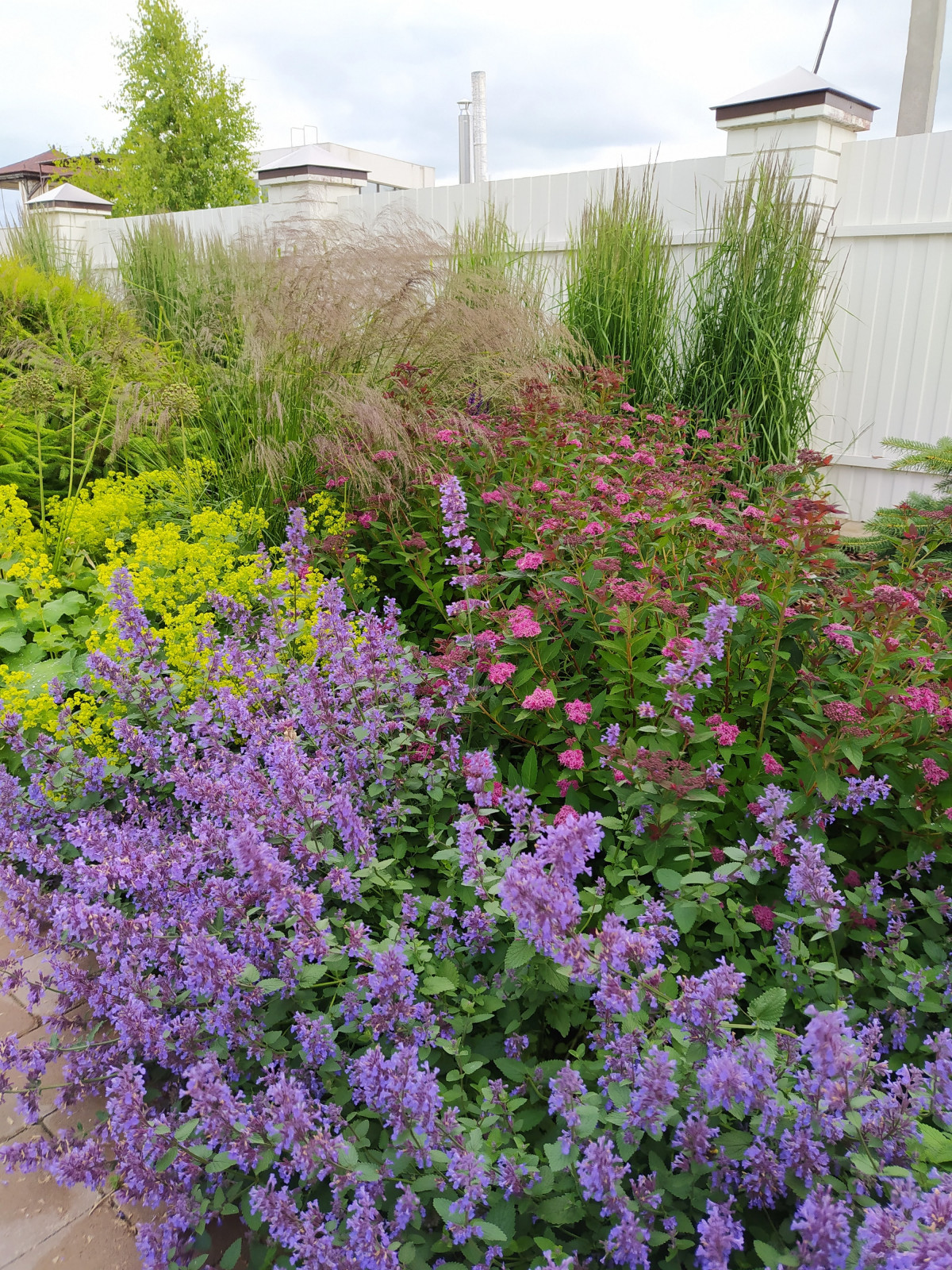 Токарево15 соток,