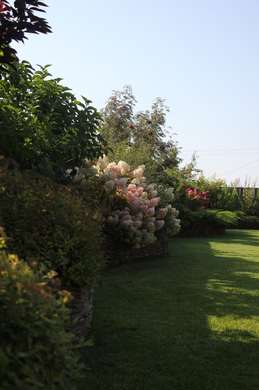 В гостях у Сказки