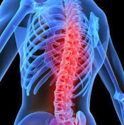 Ортопед Севортопед