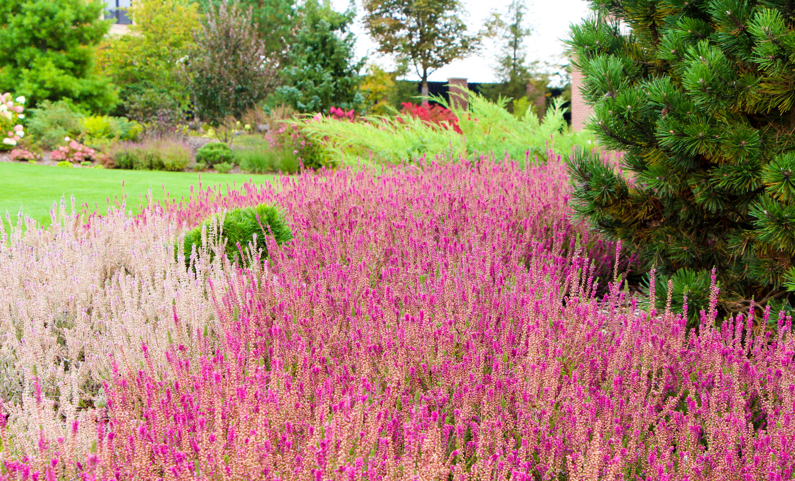 Горки-10, 2017-2020 г.г.