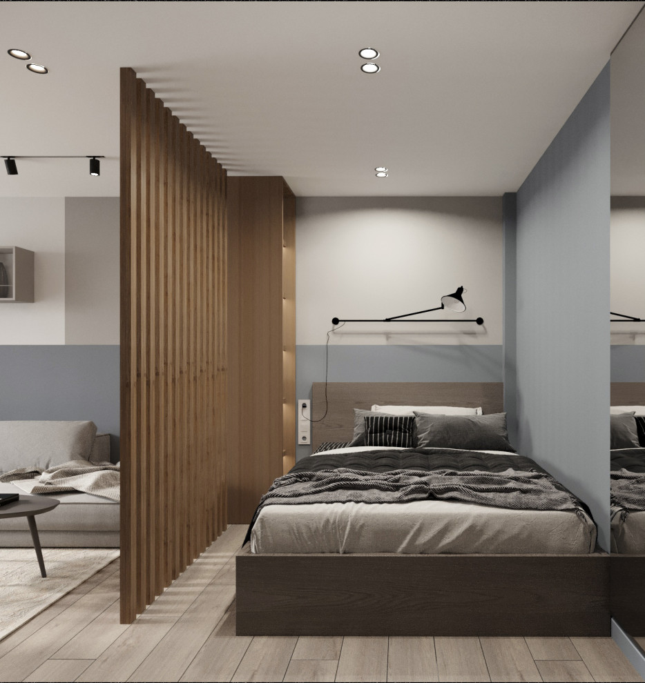 Дизайн проект однокомнатной квартиры в Долгопрудном