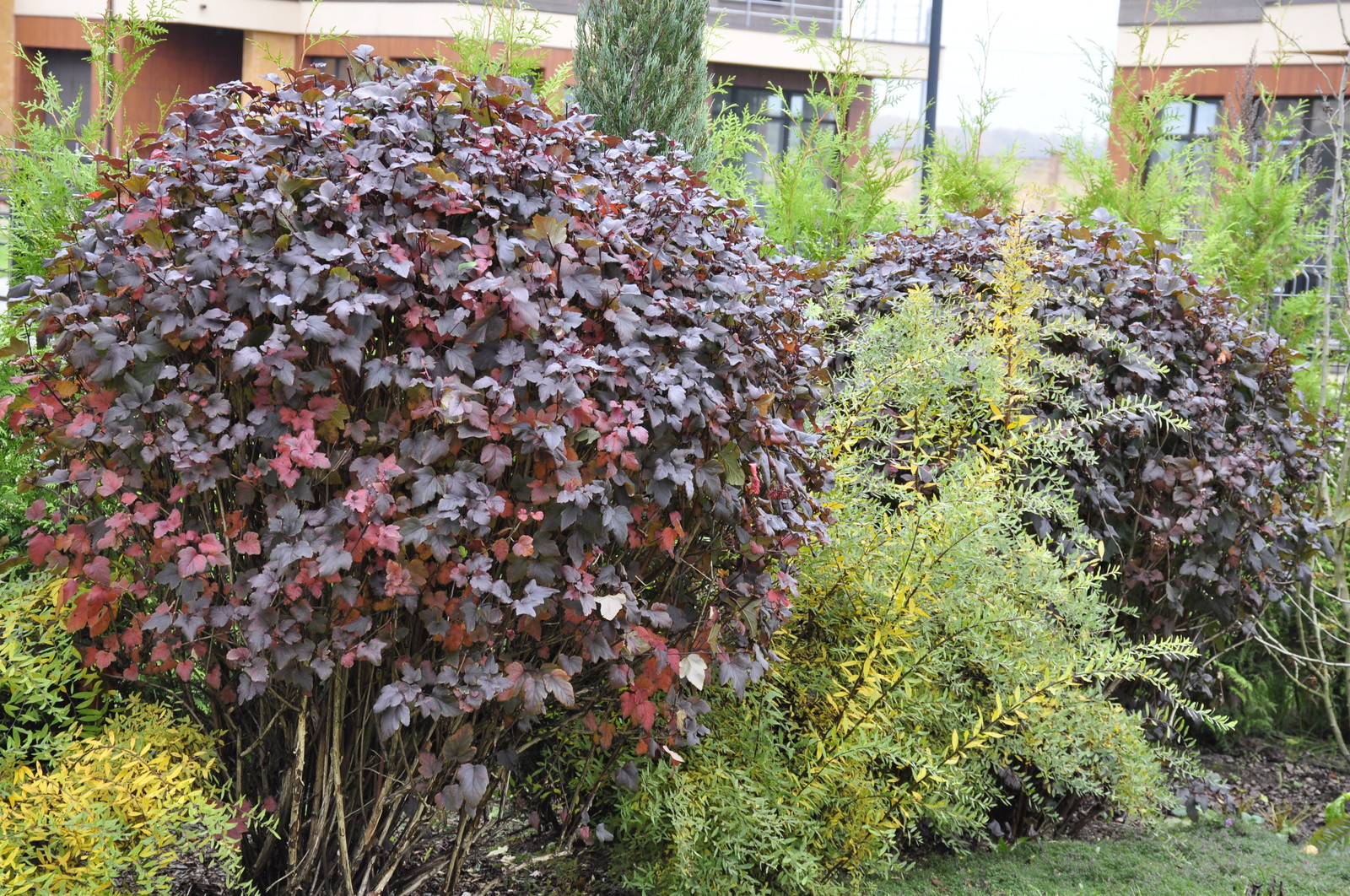 кп "Фортопс" - Профессиональный уход за садом - 100% качество!