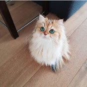 Мария Катаева