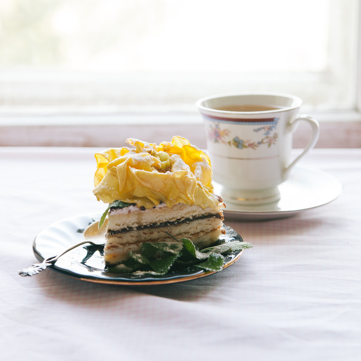 Своими руками: Как сделать гербарий – картину