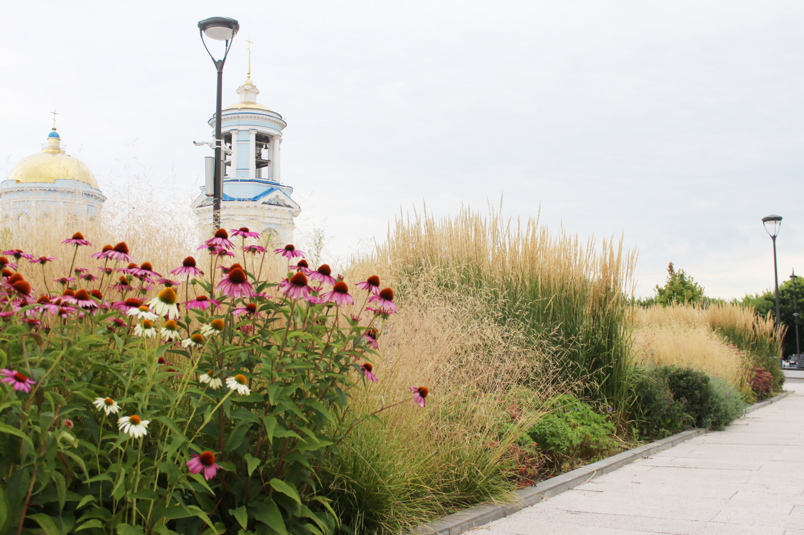 Цветники Советской площади