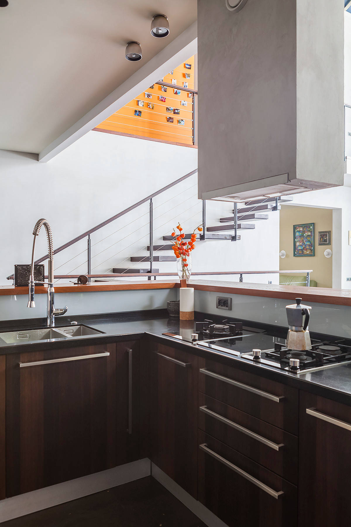 В гостях: Дерево в облаках — посреди загородного дома