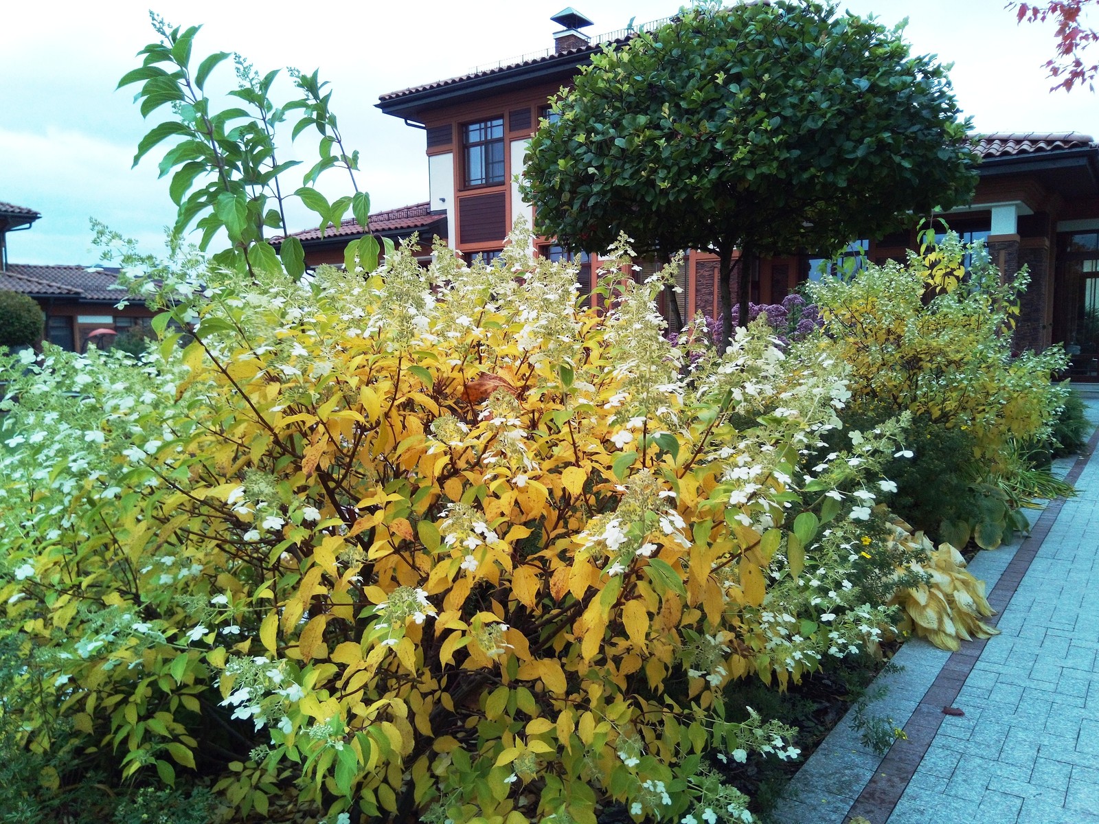 кп "Милениум" - Профессиональный уход за садом - 100% качество!