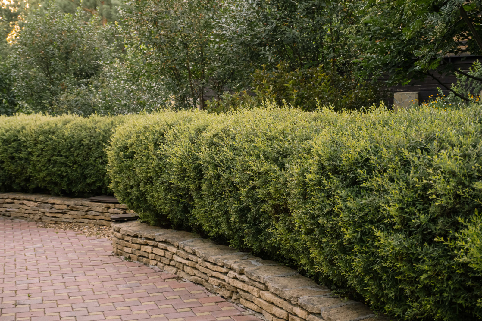 Простор и комфорт загородной жизни