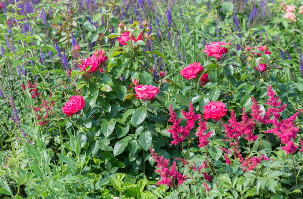 Большой сад в пригороде
