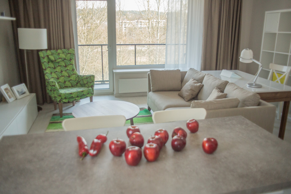 Дизайн интерьера квартиры в современном стиле: реальные фотографии из Вильнюса