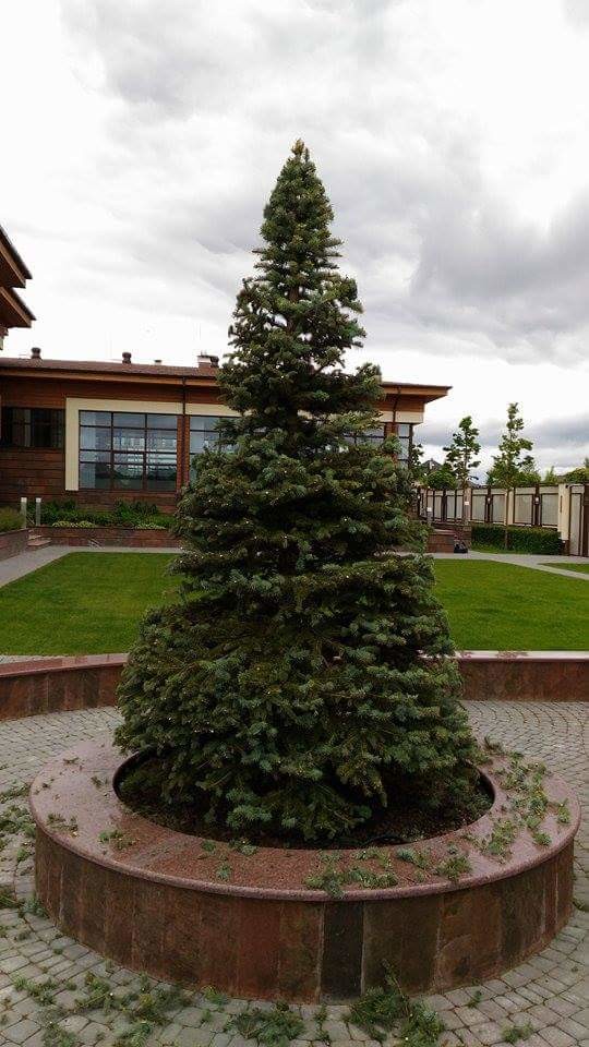 кп "Мартемьяново" - Профессиональный уход за садом - 100% качество!