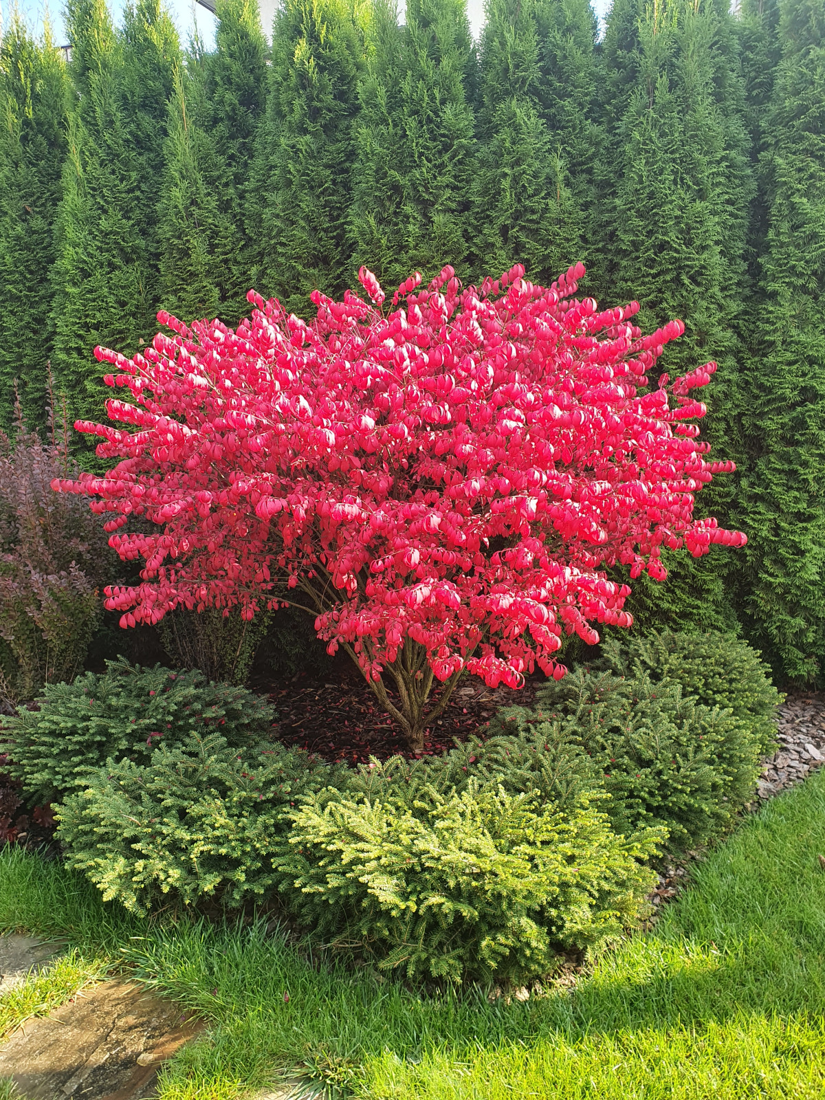 Сады осенью