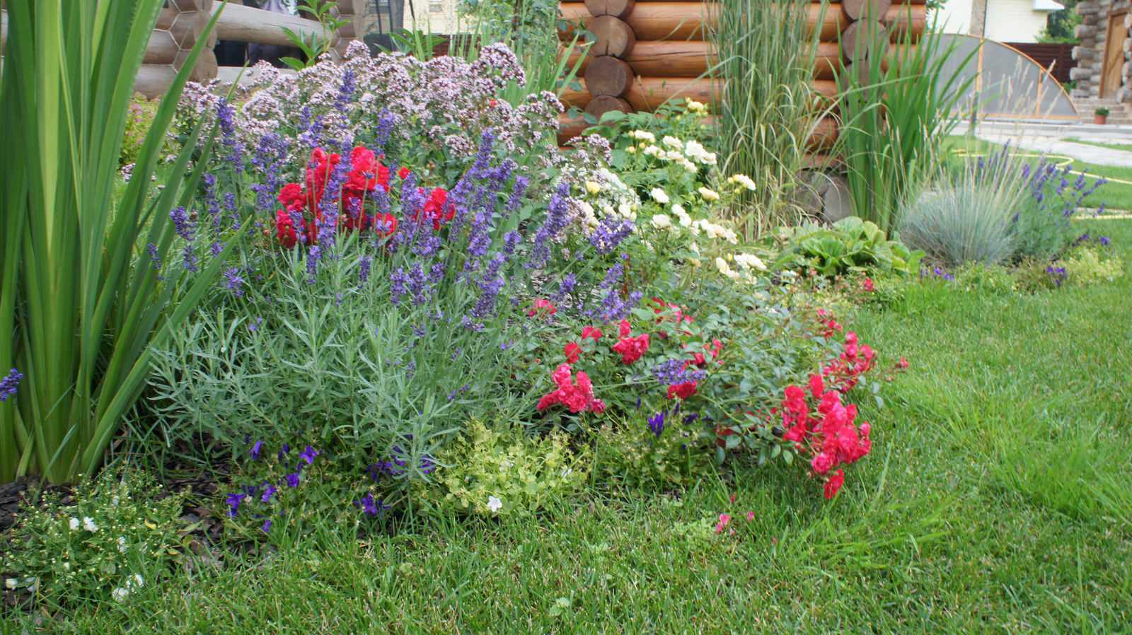 Прохорово лето 2017