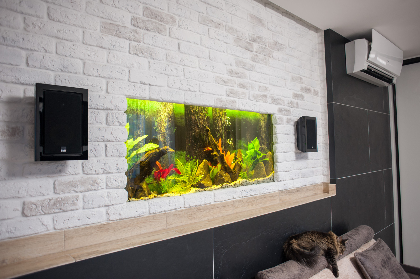 Совместный проект