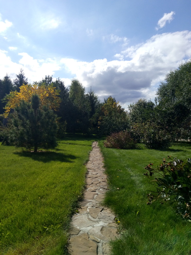 Обложка проекта: Восстановление газона