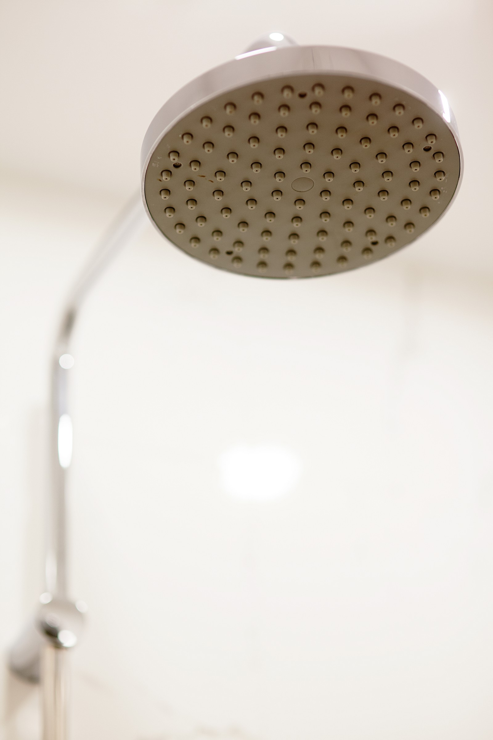 Новый проект 2019