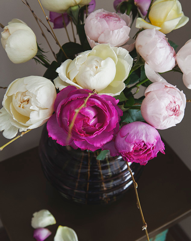 Северный свет