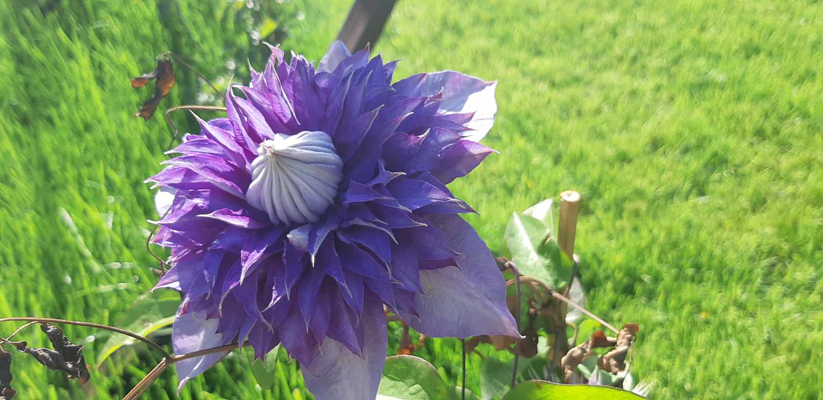 Работы выполнены в с.Южная Озереевка