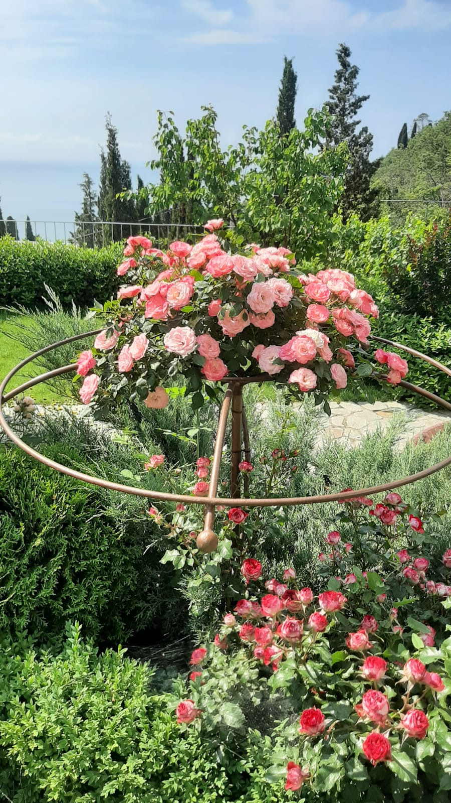 Ландшафтный дизайн