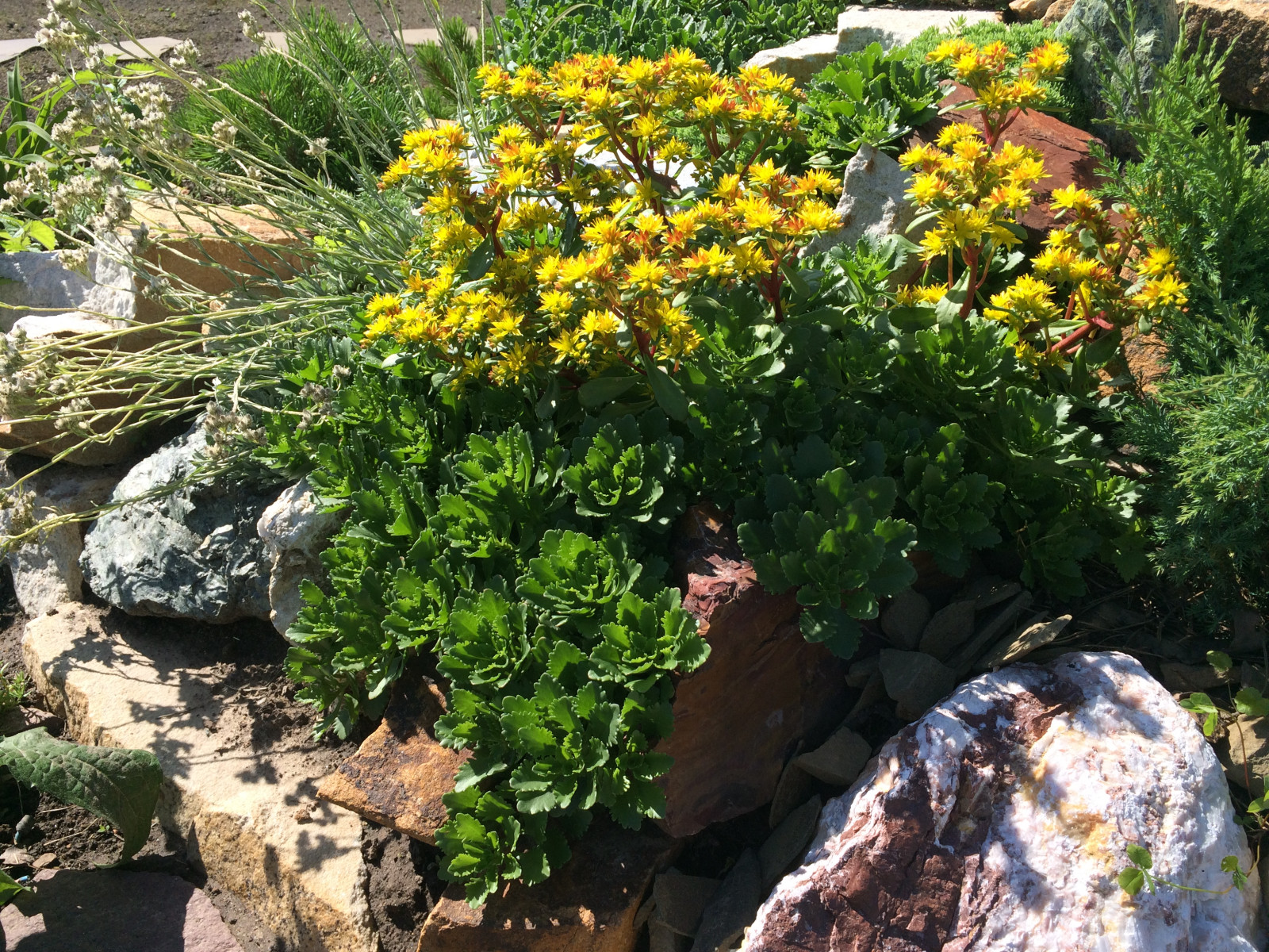 Медведевский район Марий Эл. Притягательность воды и камня