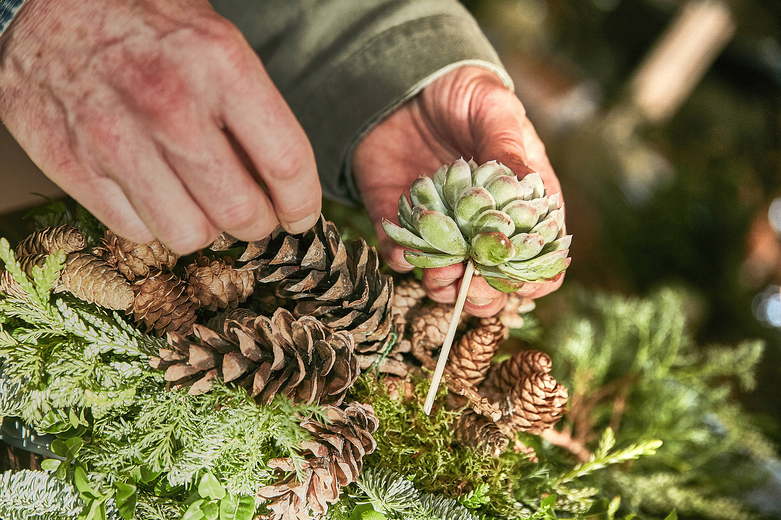 Своими руками: Новогодний декор из шишек и хвои — как в Дании
