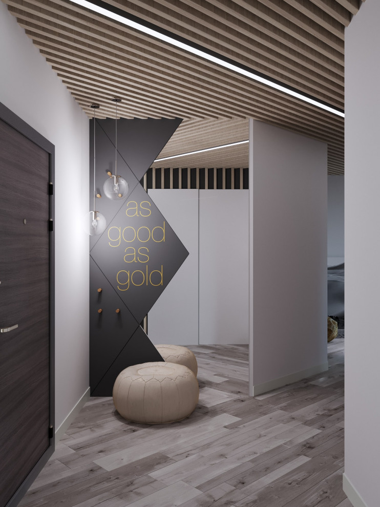 Квартира для молодого человека S = 100 кв. м.