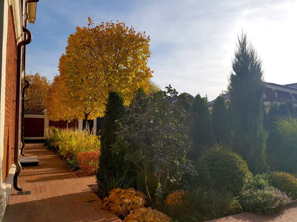 Сад с аурой.Осенние краски.