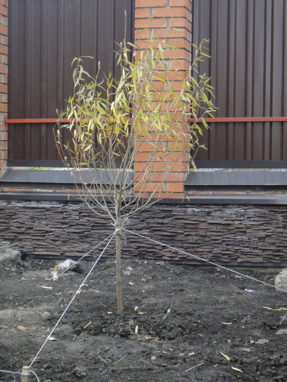 Ландшафтные работы и озеленение участка в Юрге