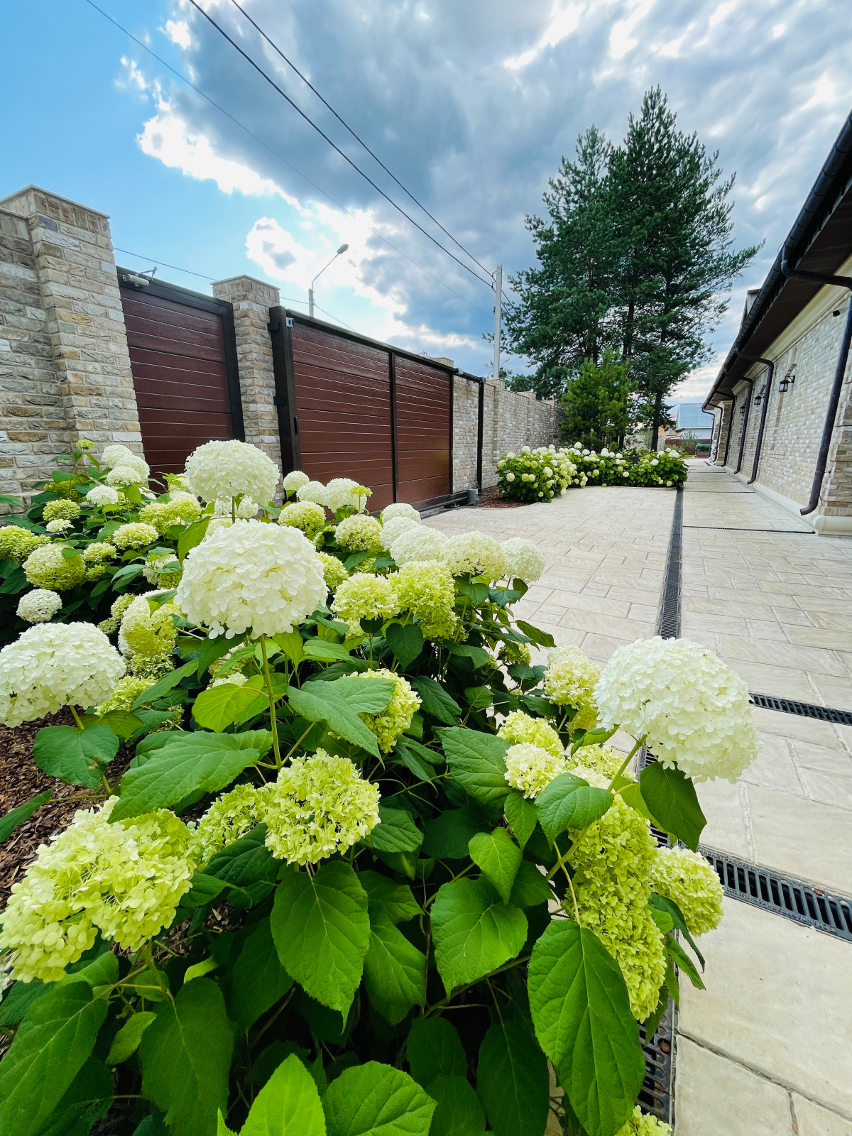 Входная зона на участок