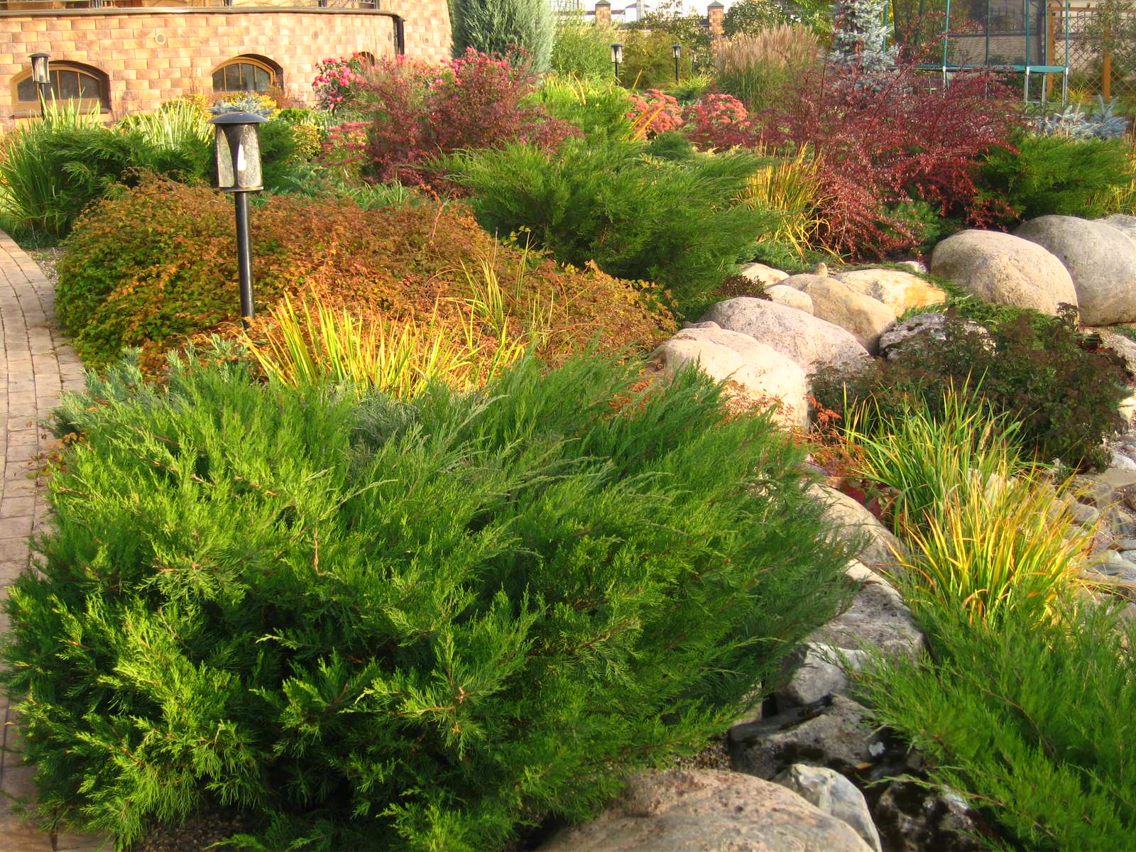 На берегу водоема