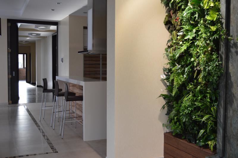 Фитостены в частном доме в поселке Аврора