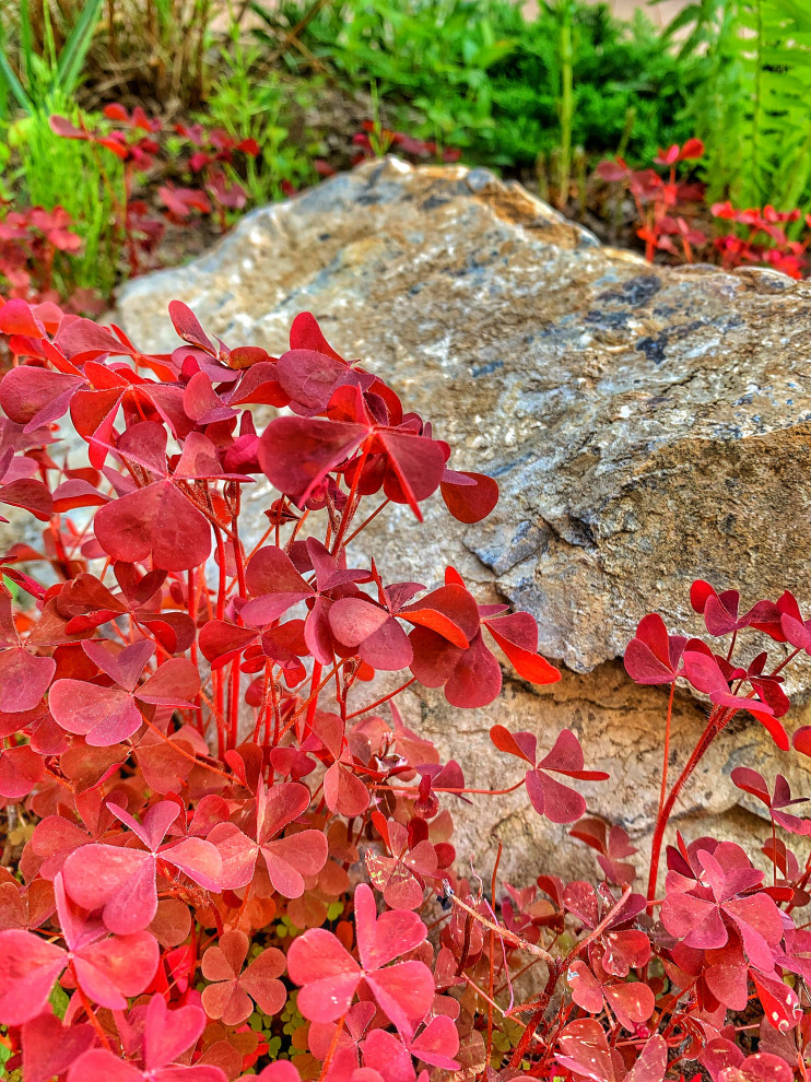 Ландшафтный дизайн в п. Молодёжный (Иркутск)