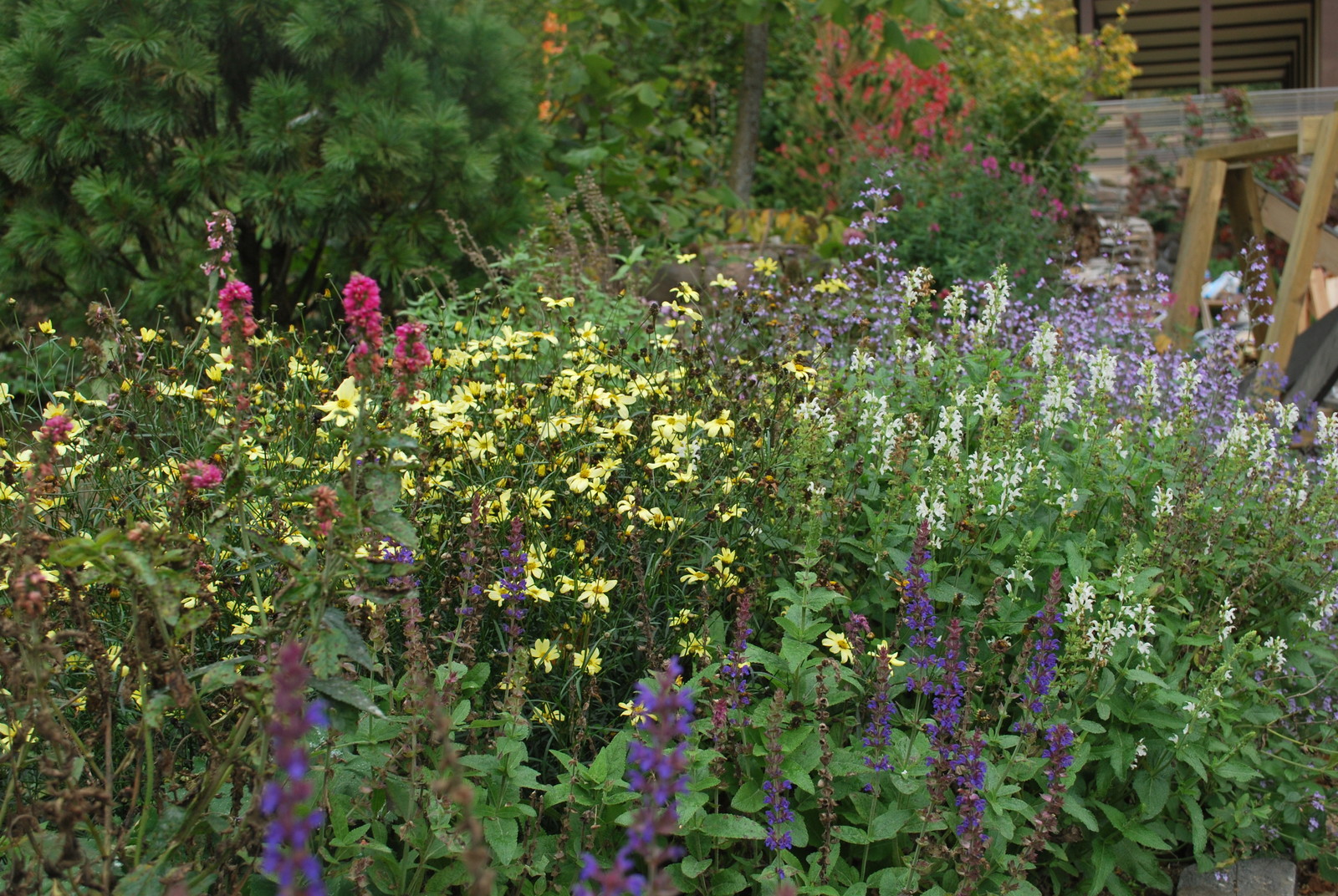 Сад натуралистического стиля