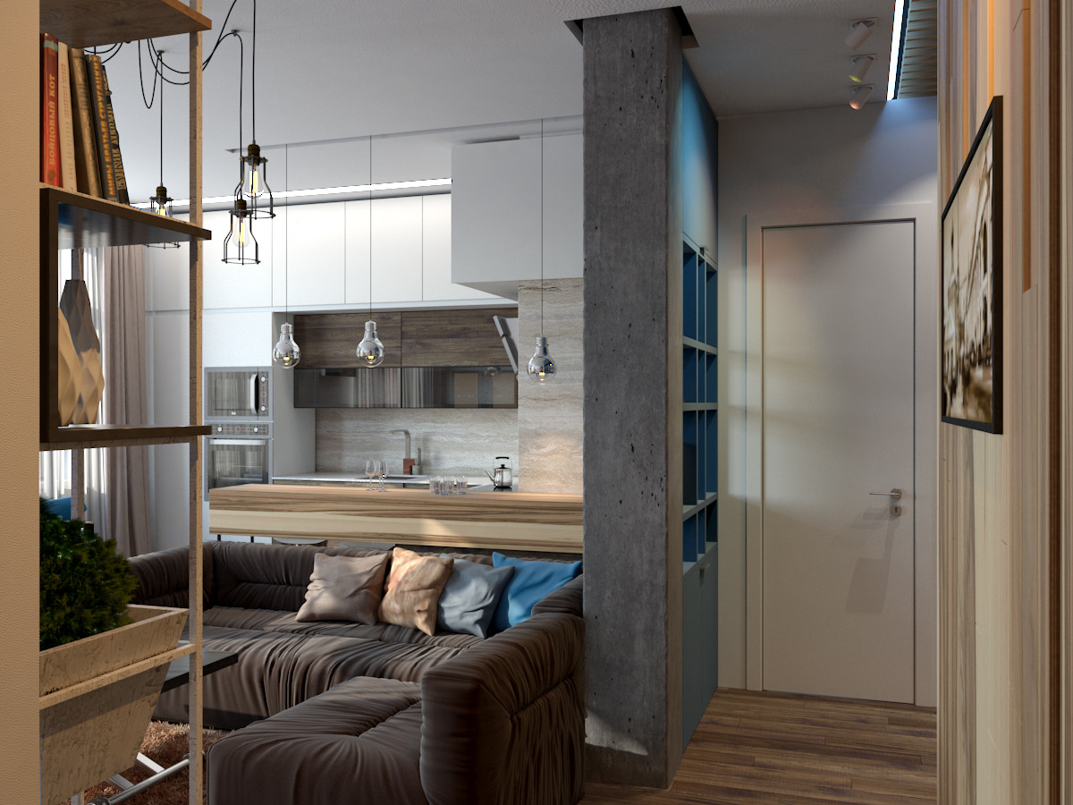 Гостиная с кухней