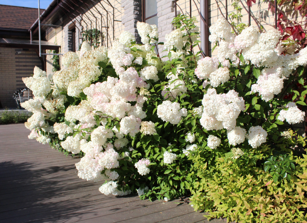 Запорожское