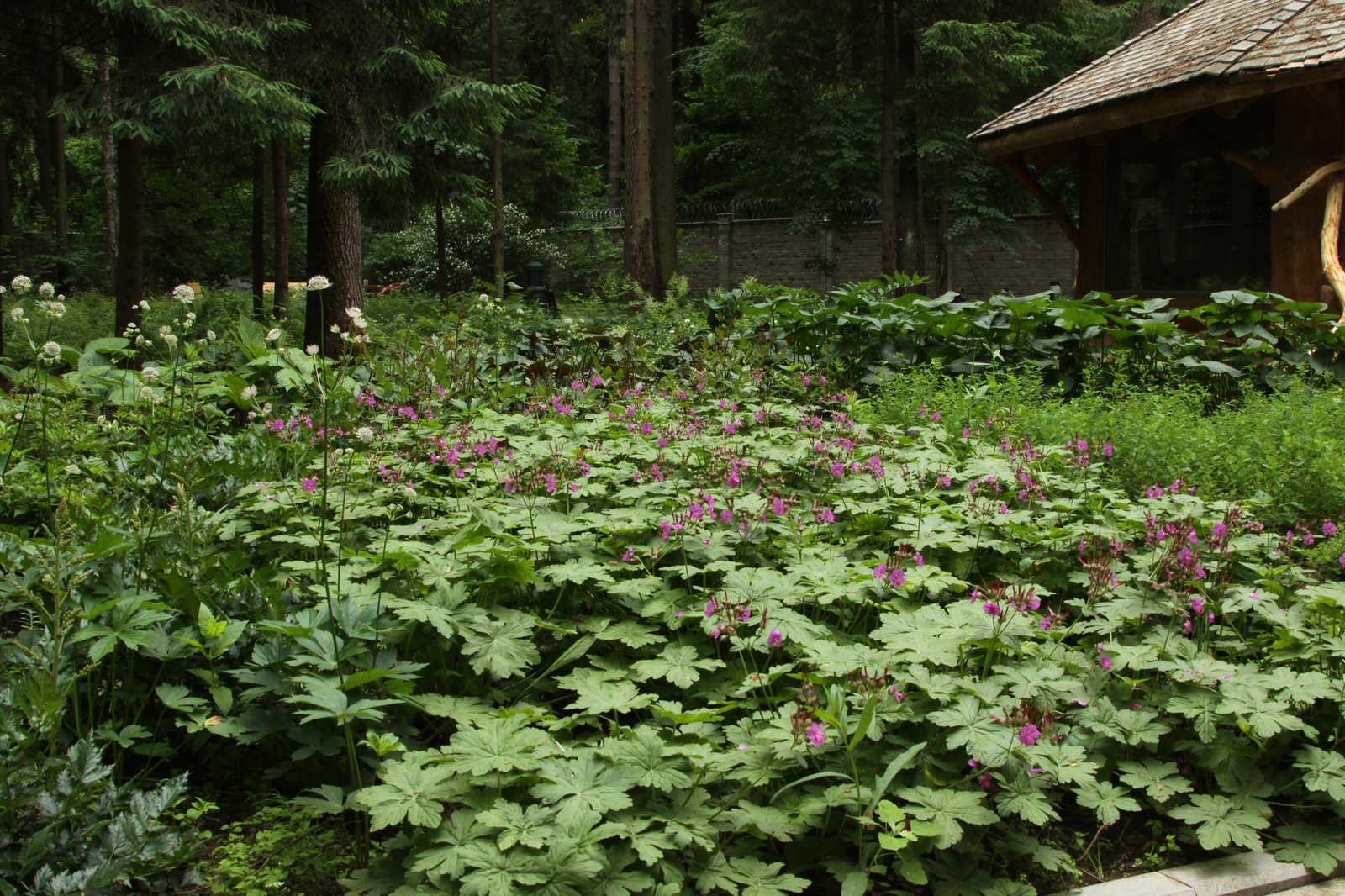 Теневые сады