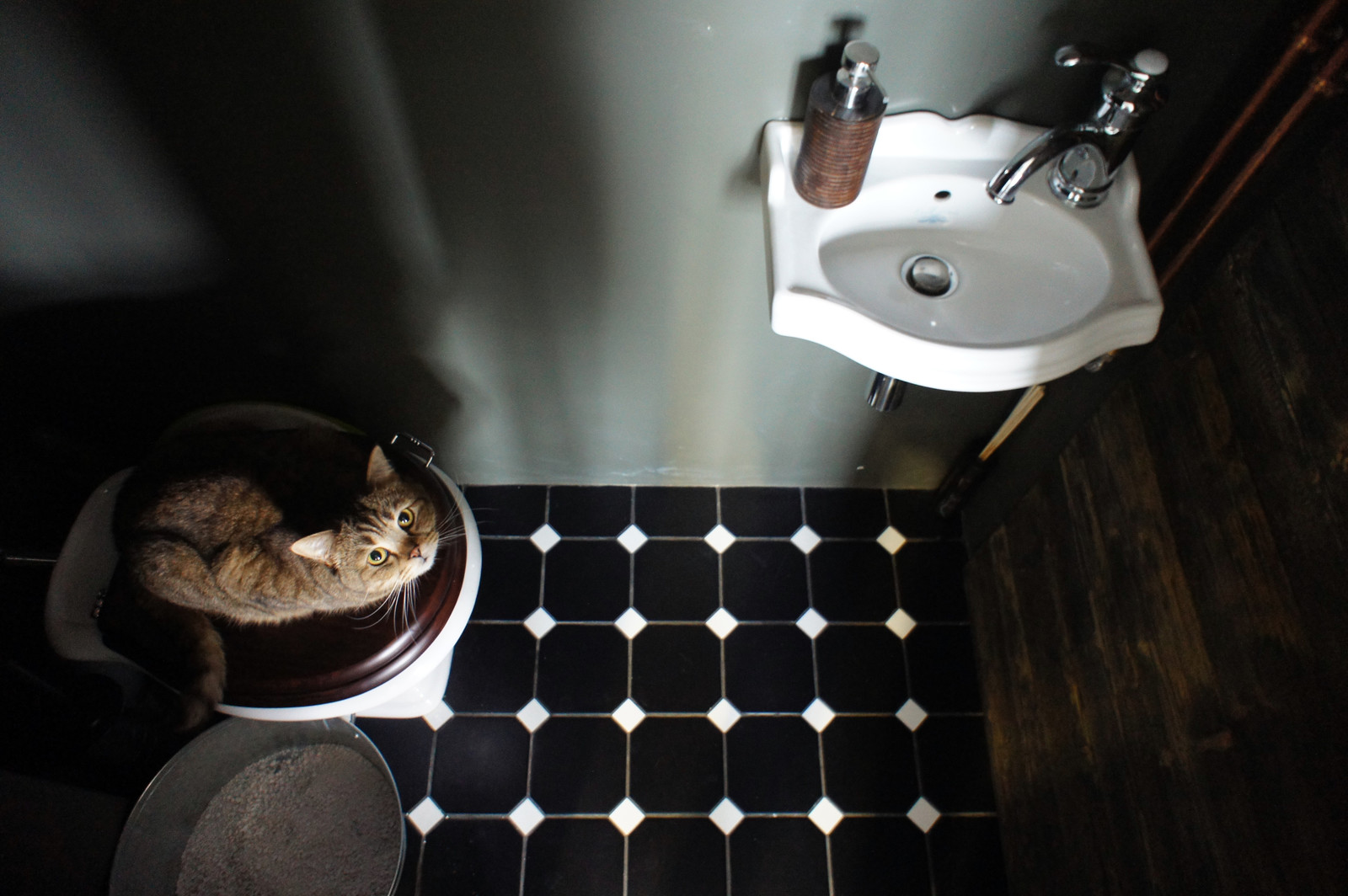 Полина Ефремова