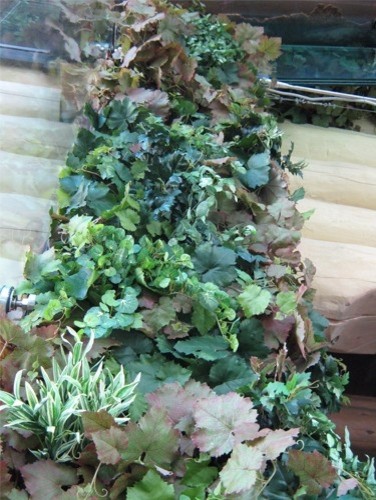 Озеленение бассейна (Углич)